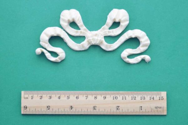 Double Loopy Bow Resin Moulding